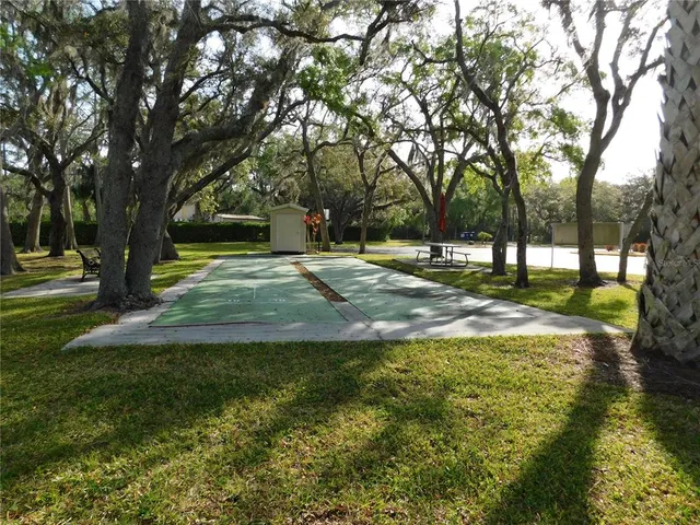 a view of park with trees