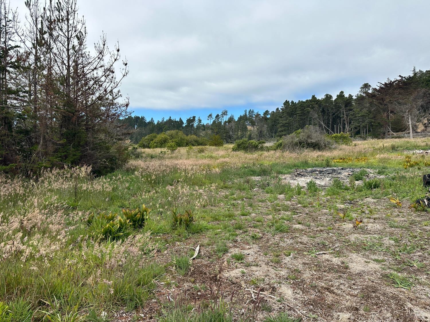135 Shepherds Close The Sea Ranch, CA 95497 - Photo 31 of 34