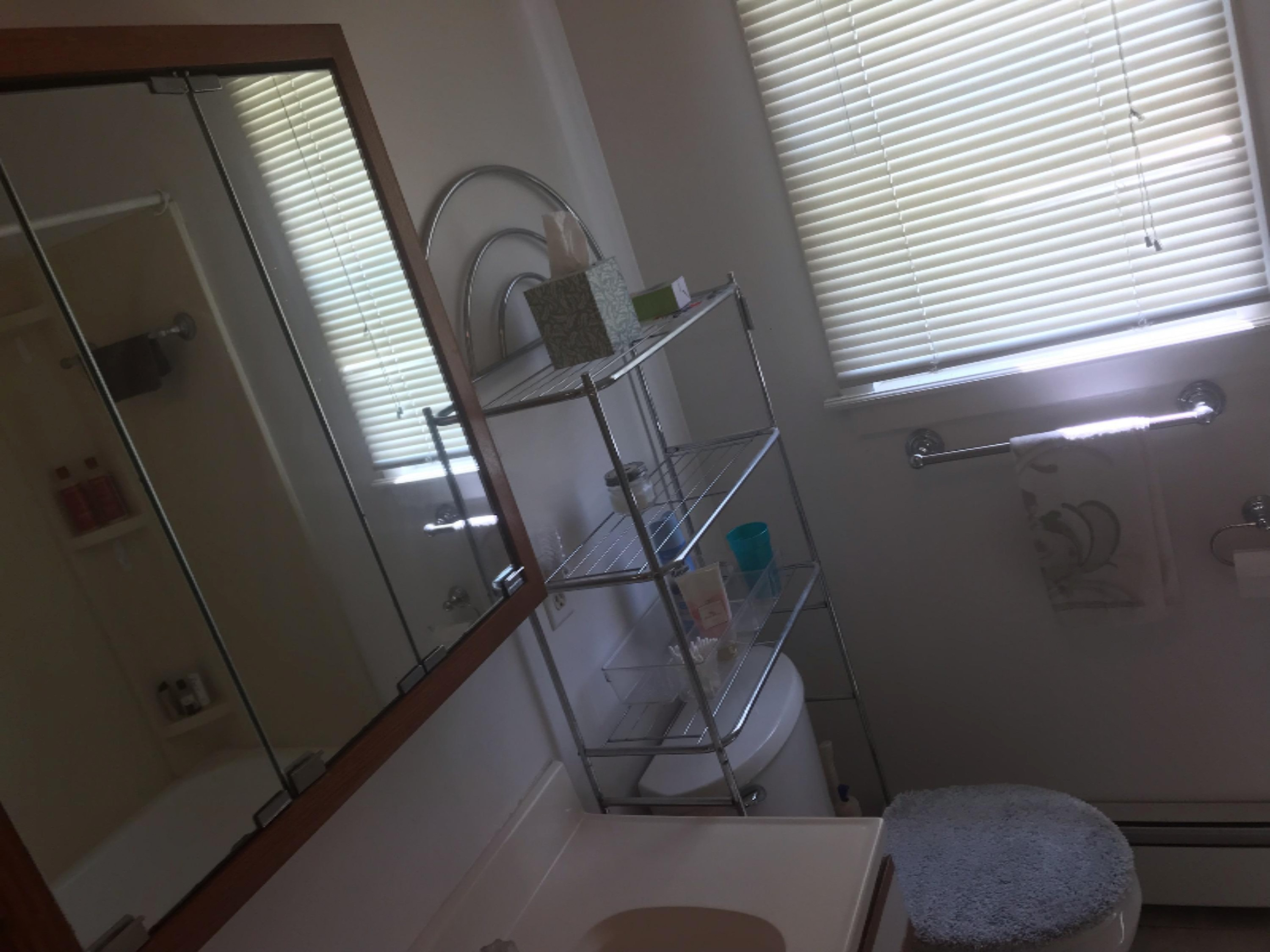 16567 Malta Court Spring Lake, MI 49456 - Photo 8 of 10 Bath