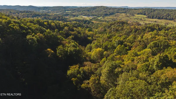 $260,000 | 69.26-ac Wolfe Road, Sneedville, TN 37869