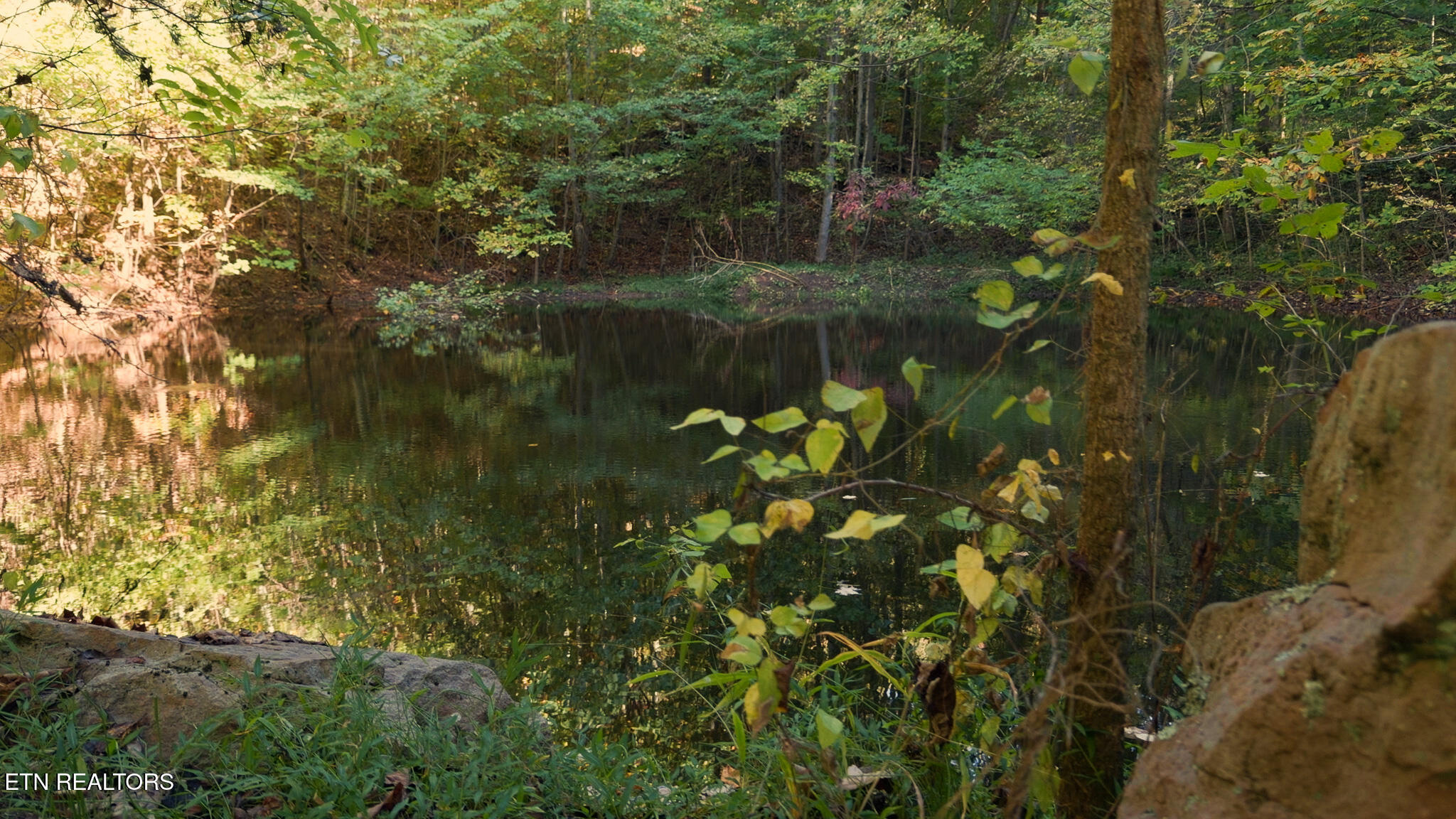 69.26-ac Wolfe Road Sneedville, TN 37869 - Photo 15 of 27 Still 2025-10-09 205618_1.4.1