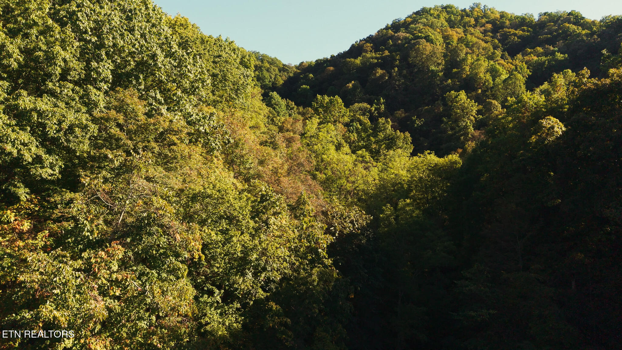 69.26-ac Wolfe Road Sneedville, TN 37869 - Photo 18 of 27 Still 2025-10-09 205742_1.9.1