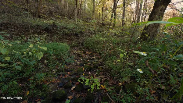 $260,000 | 69.26-ac Wolfe Road, Sneedville, TN 37869