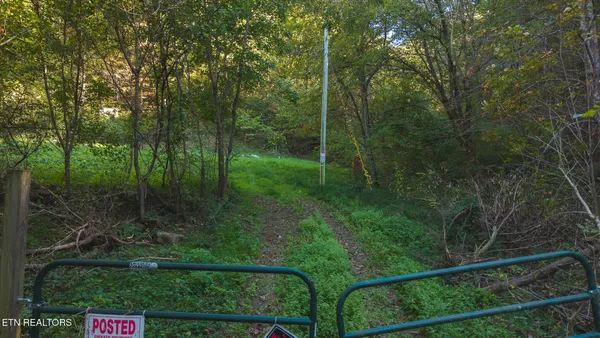 $260,000 | 69.26-ac Wolfe Road, Sneedville, TN 37869