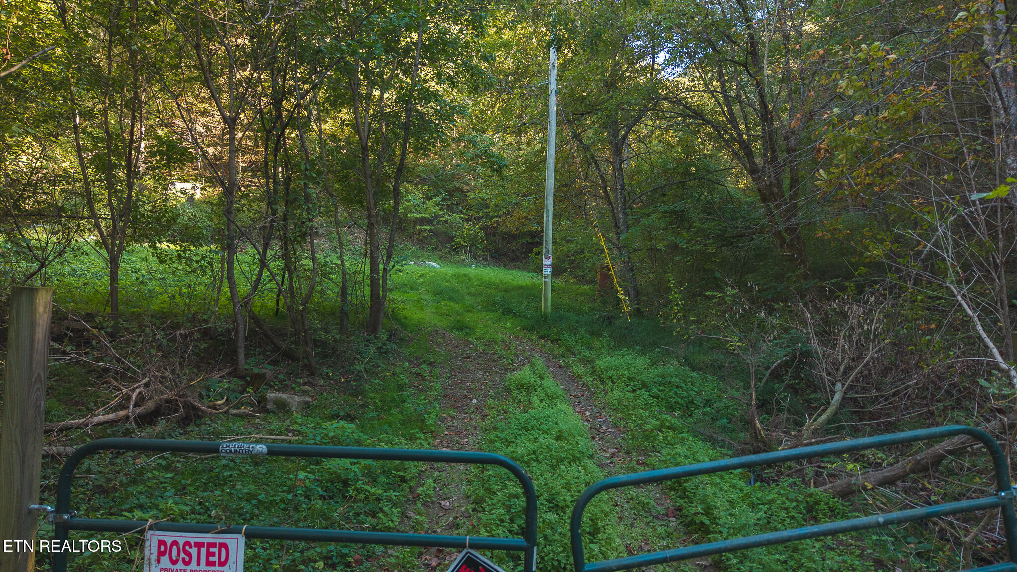69.26-ac Wolfe Road Sneedville, TN 37869 - Photo 3 of 27 DJI_20251001163340_0405_D