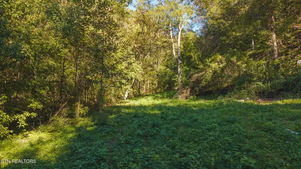 $260,000 | 69.26-ac Wolfe Road, Sneedville, TN 37869