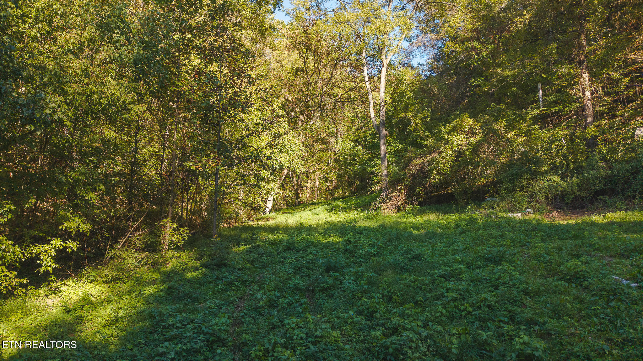 69.26-ac Wolfe Road Sneedville, TN 37869 - Photo 6 of 27 DJI_20251001163441_0410_D