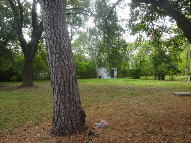a view of a yard with large trees
