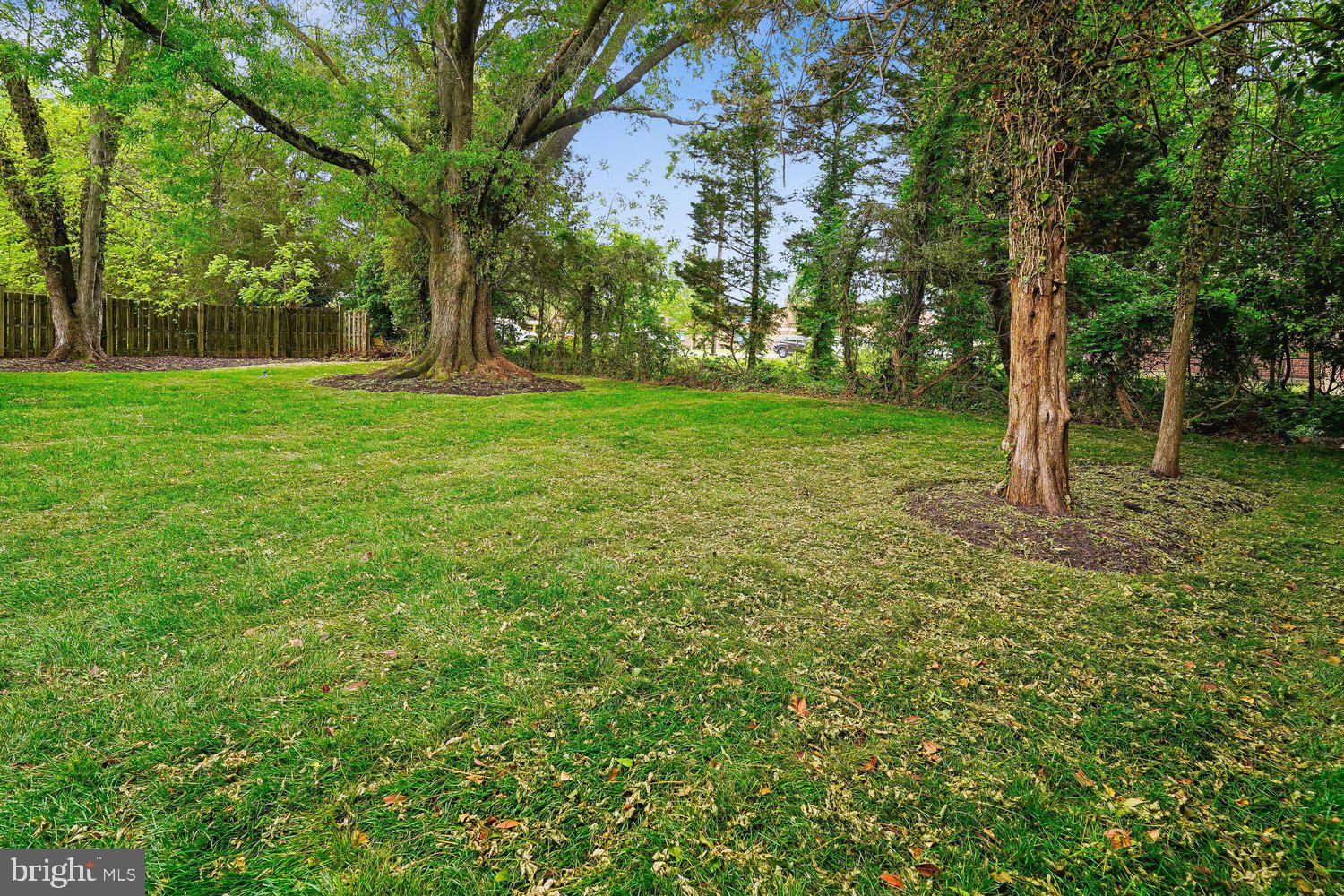 7814 Friars Court Alexandria, VA 22306 - Photo 26 of 56 Back Yard