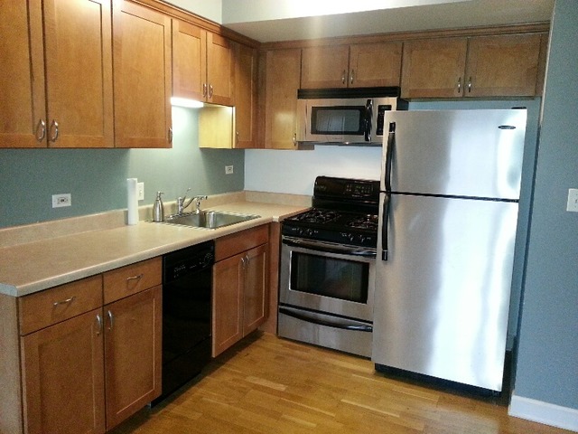 1000 South Lorraine Road, Unit 410 Wheaton, IL 60189 - Photo 5 of 12 a kitchen with a sink a refrigerator and cabinets