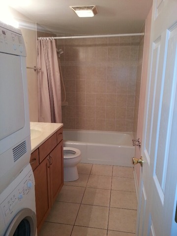 1000 South Lorraine Road, Unit 410 Wheaton, IL 60189 - Photo 7 of 12 a bathroom with a sink a toilet and a shower