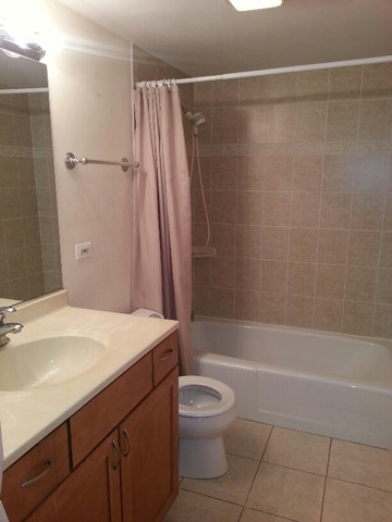 1000 South Lorraine Road, Unit 410 Wheaton, IL 60189 - Photo 8 of 12 a bathroom with a sink a toilet and a shower
