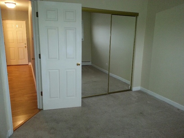 1000 South Lorraine Road, Unit 410 Wheaton, IL 60189 - Photo 10 of 12 an empty room with closet area