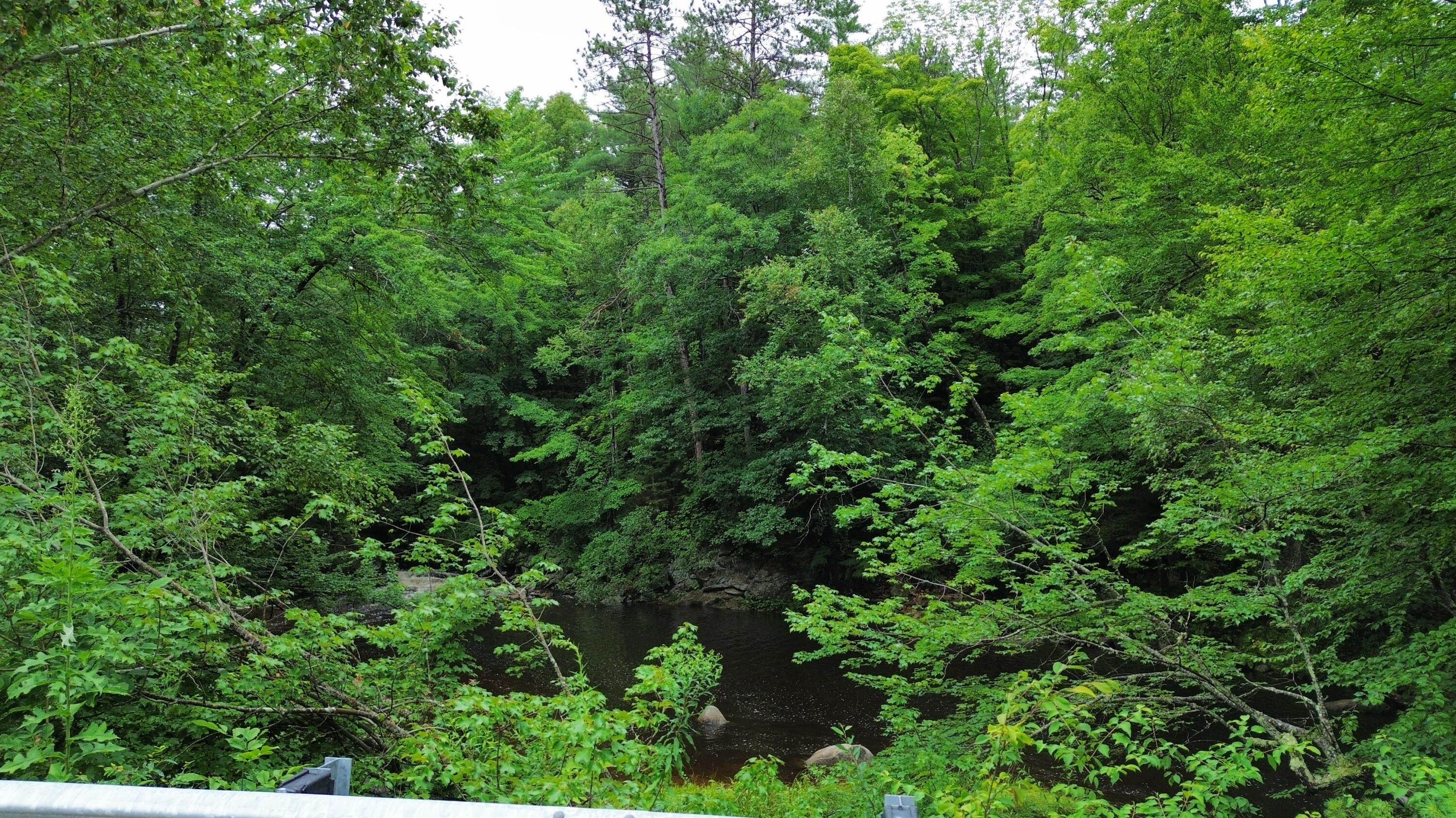 398 West Paris Road Greenwood, ME 04255 - Photo 2 of 6 2