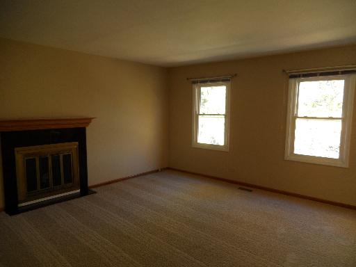 724 Cimarron Drive Carol Stream, IL 60188 - Photo 12 of 16