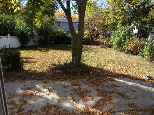 724 Cimarron Drive Carol Stream, IL 60188 - Photo 15 of 16