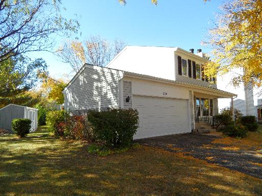724 Cimarron Drive Carol Stream, IL 60188 - Photo 16 of 16