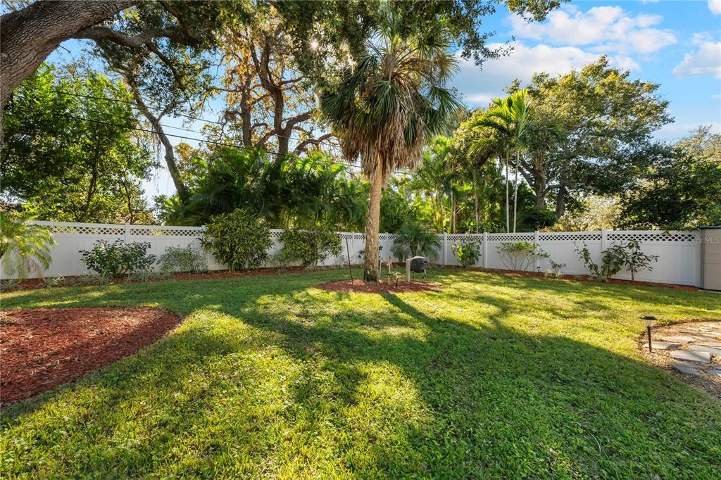 1109 Commodore Street Clearwater, FL 33755 - Photo 34 of 42 a view of a backyard with large trees
