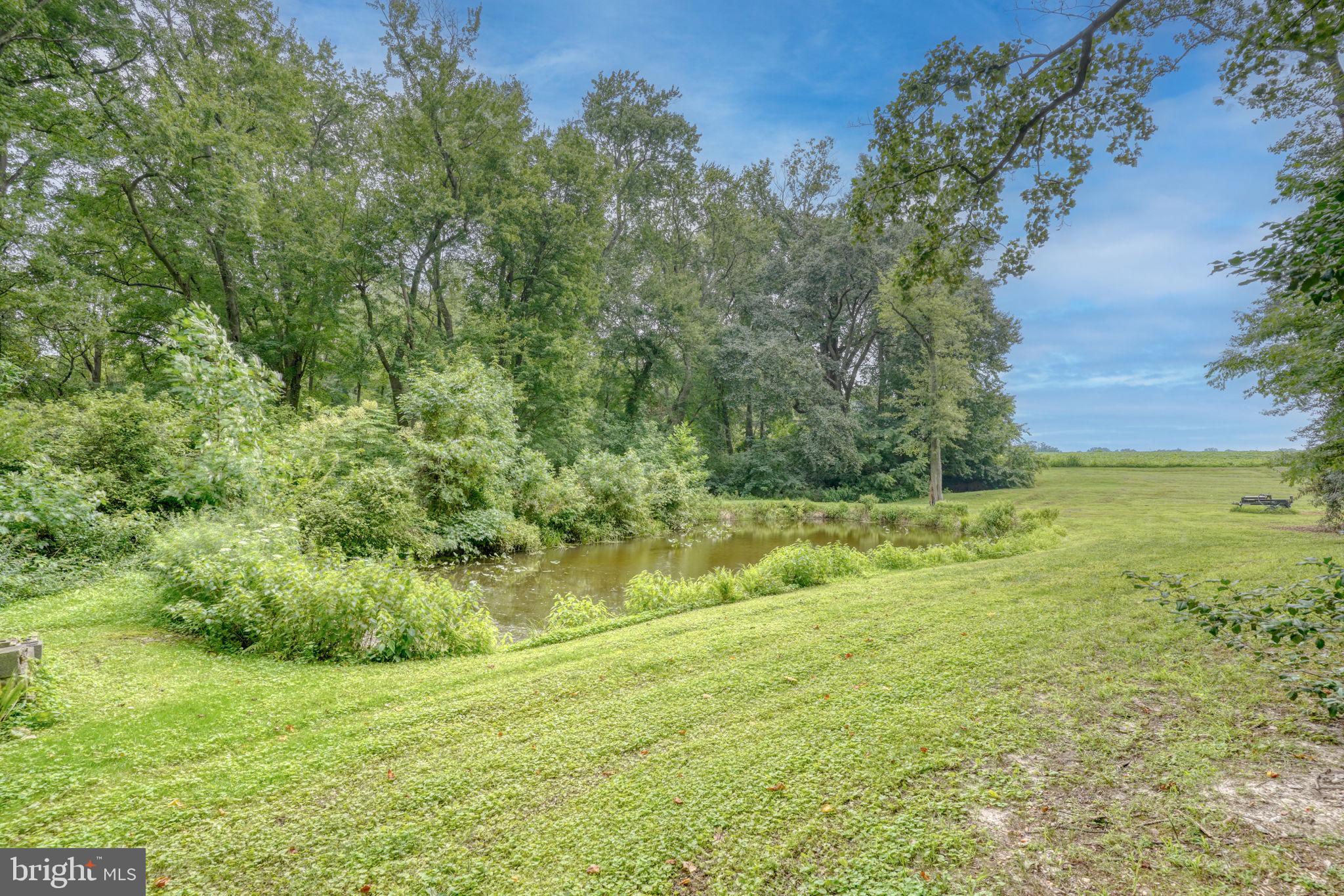 5321 Millington Road Clayton, DE 19938 - Photo 22 of 44 a view of a yard with an outdoor space