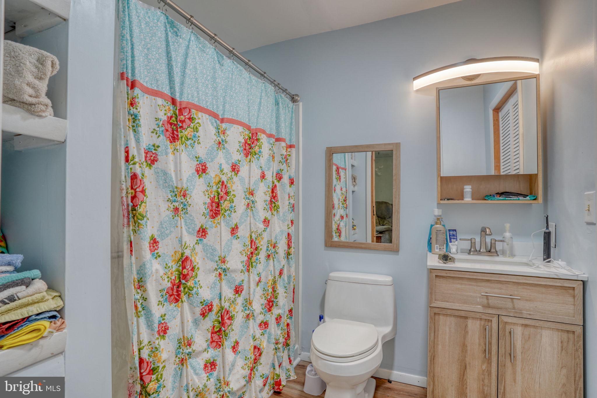 5321 Millington Road Clayton, DE 19938 - Photo 36 of 44 a bathroom with a sink toilet and shower curtain