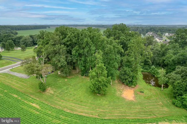 a view of a garden from a lake