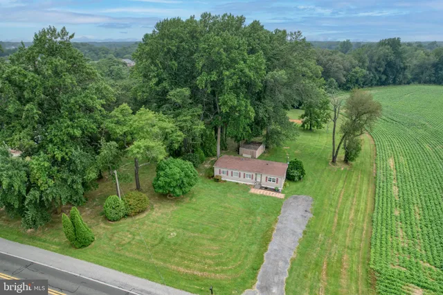 a view of a back yard