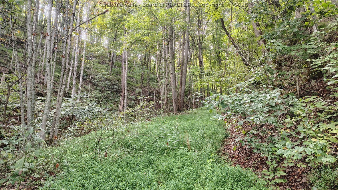 0 Rd 29 Big Sandy Road Newton, WV 25266 - Photo 4 of 5 Gallery Image 4