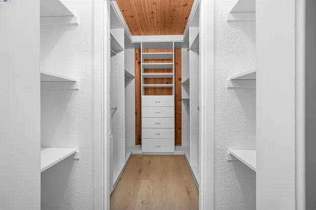 a backyard of a house with large trees and plants