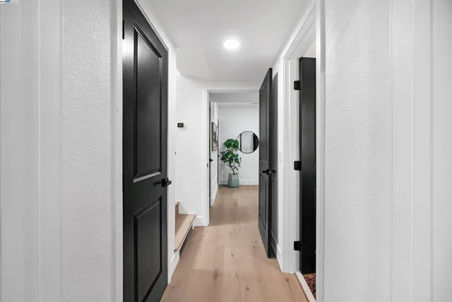 a backyard of a house with large trees and plants