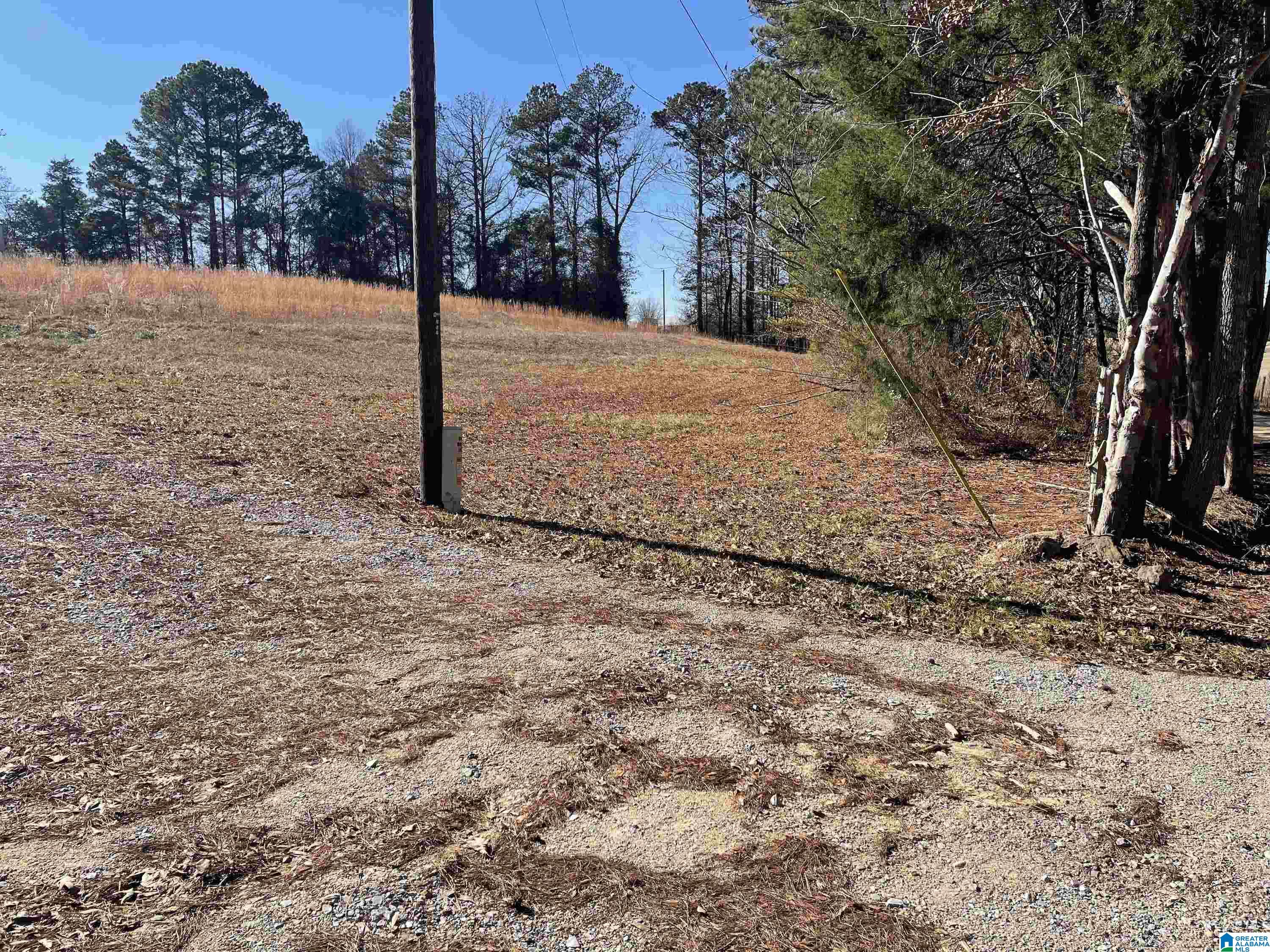 40 County Road 494 Verbena, AL 36091 - Photo 5 of 16