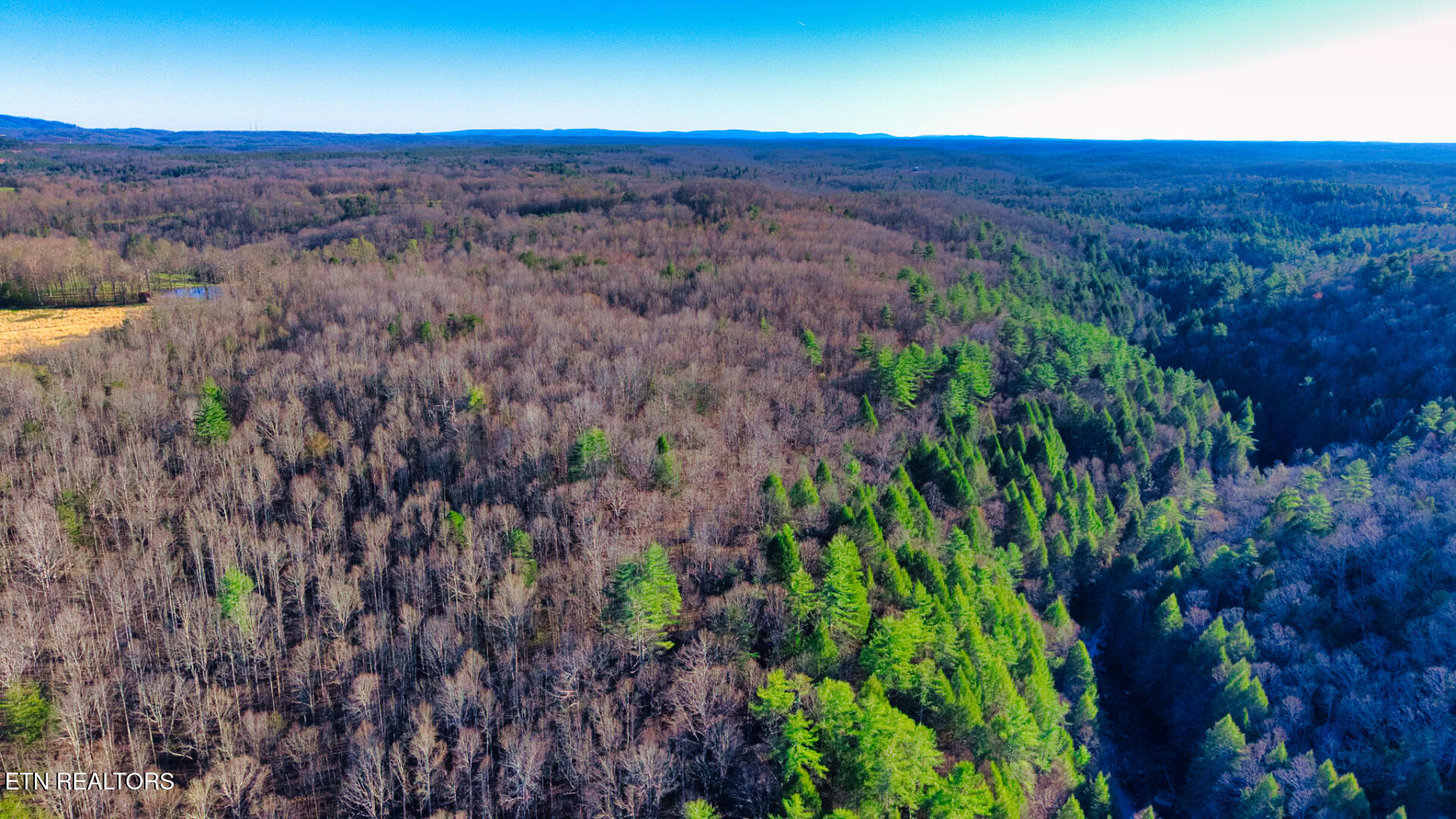 2 Ervin Brown Road, Unit TRACT 2 Sunbright, TN 37872 - Photo 1 of 6 DJI_20260328181443_0004_D_SOP (1)