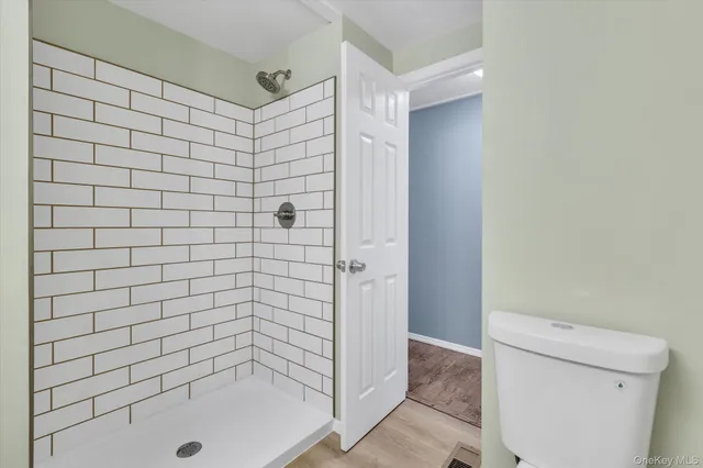 a bathroom with a shower and a toilet
