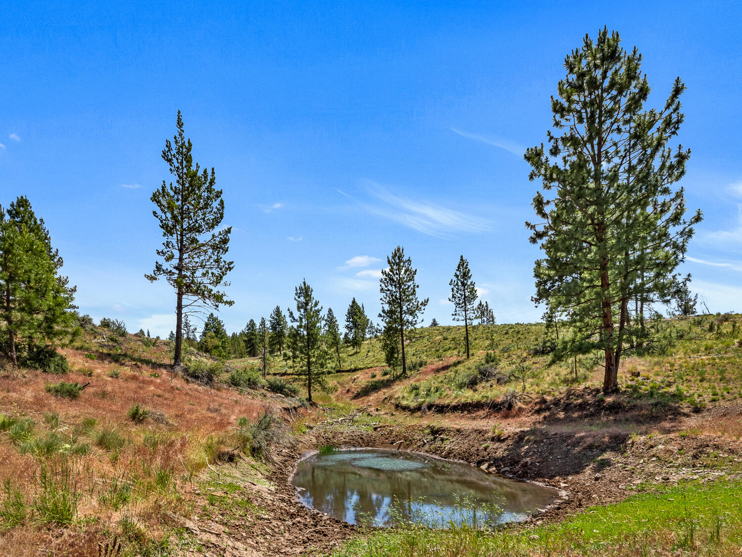 9988 Northeast Cody Ridge Road Prineville, OR 97754 - Photo 42 of 49 Cody Ridge 042