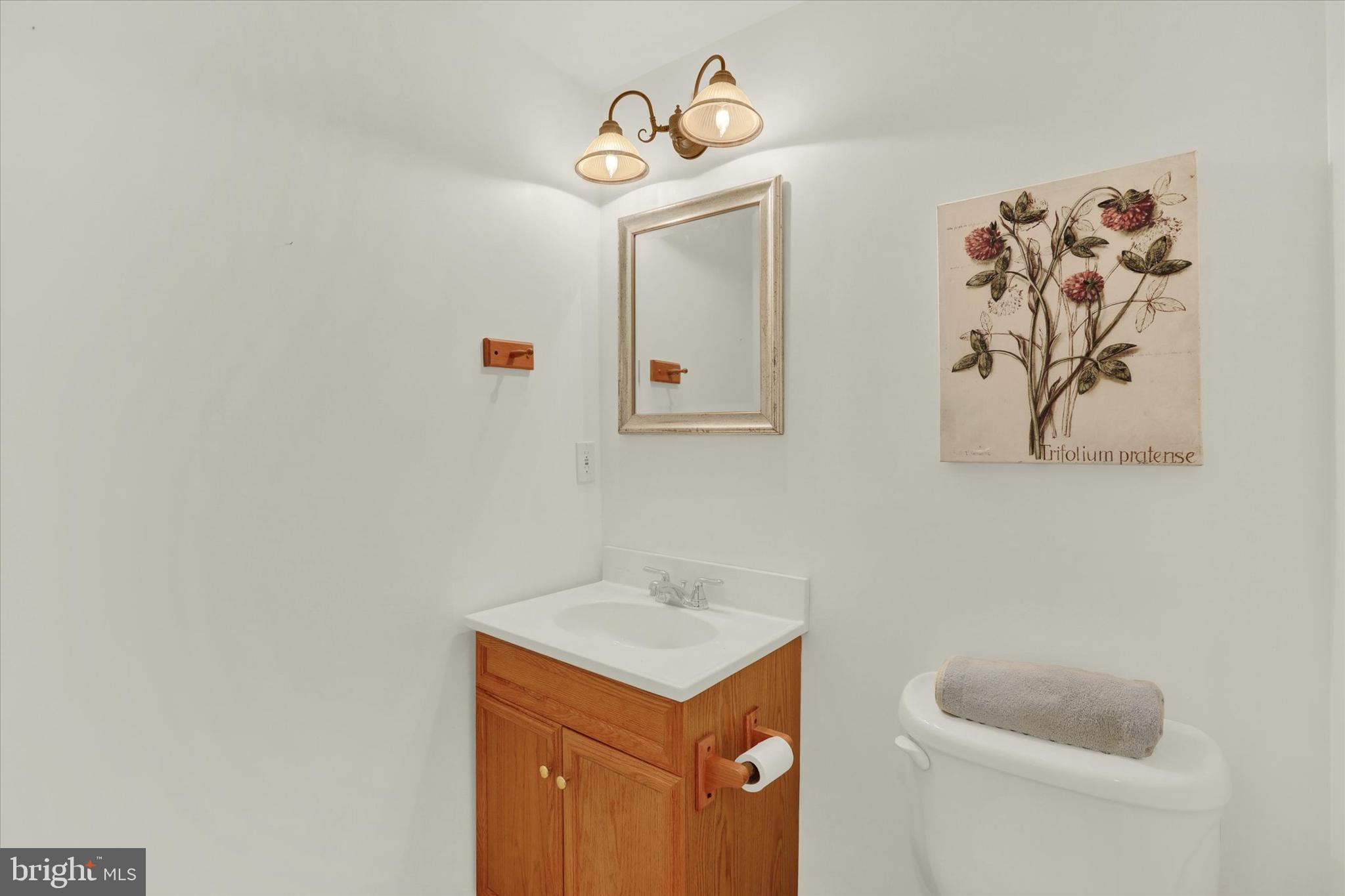 4901 Crosspoint Drive Doylestown, PA 18902 - Photo 50 of 73 Lower Level Half Bath