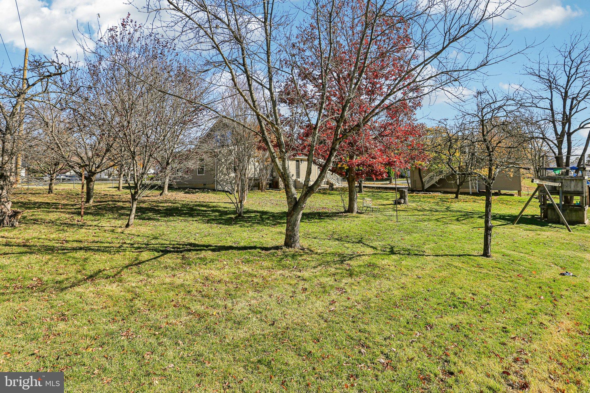 10571 Scaggsville Road Laurel, MD 20723 - Photo 43 of 60 a view of yard with trees