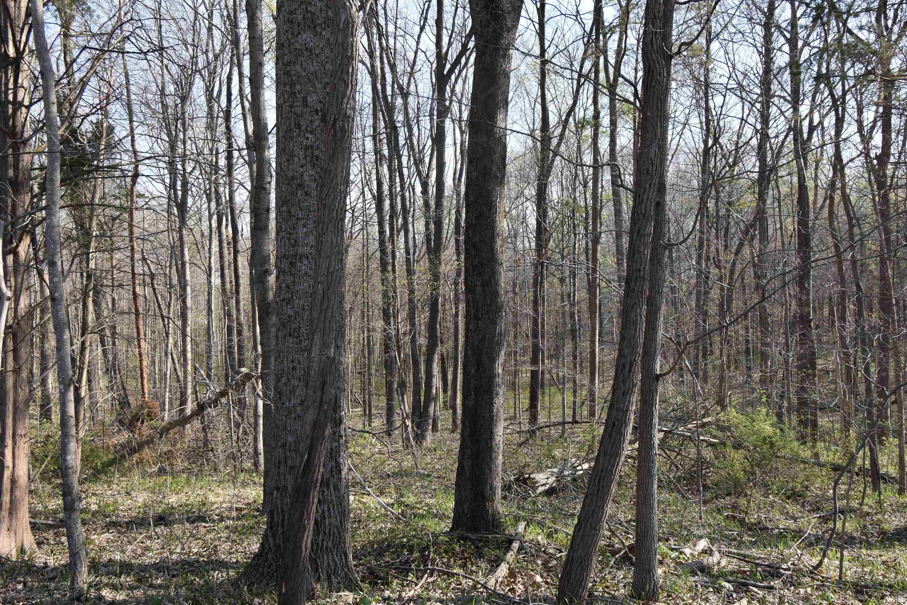 998 East Phillips Road English, IN 47118 - Photo 19 of 35