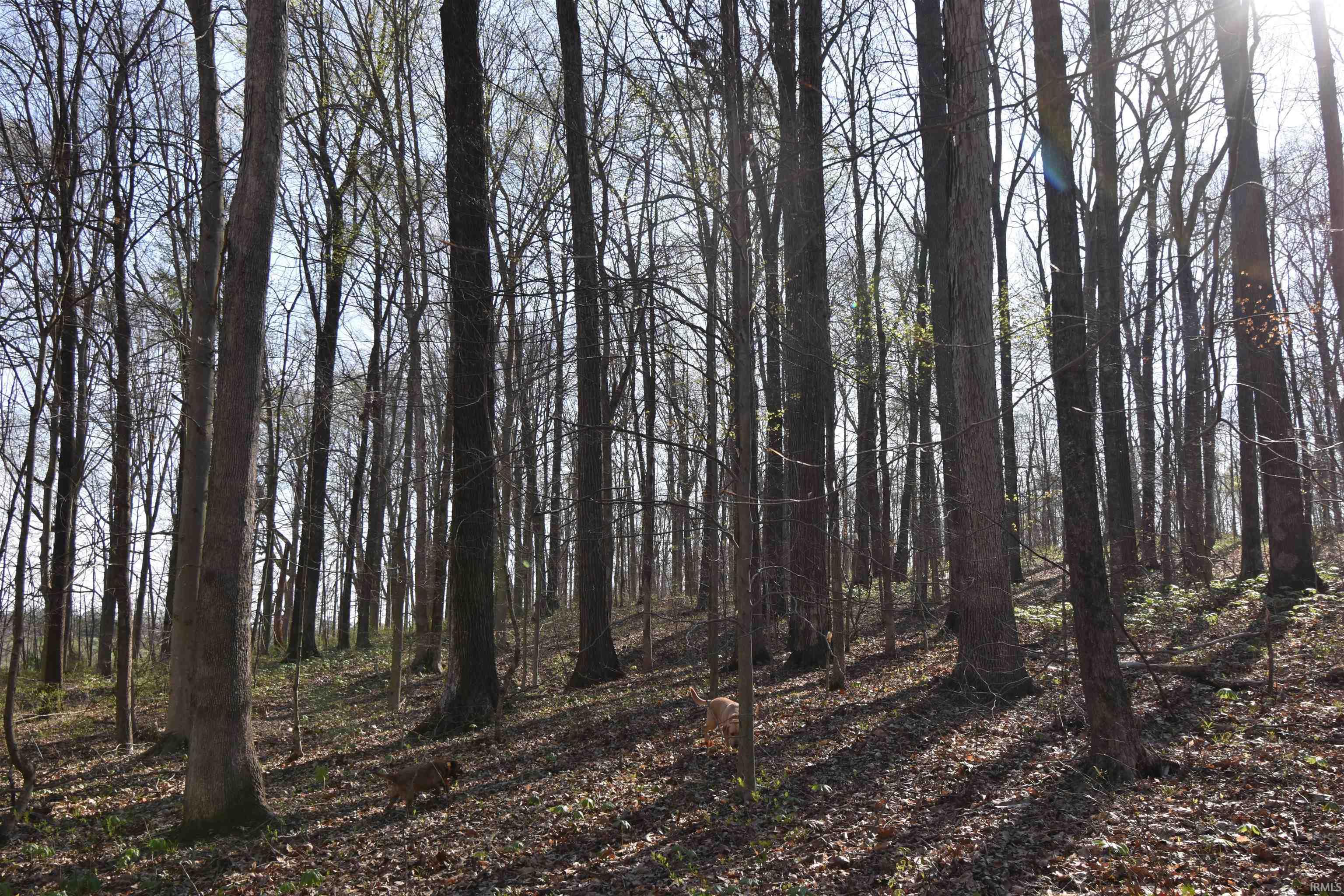 998 East Phillips Road English, IN 47118 - Photo 22 of 35