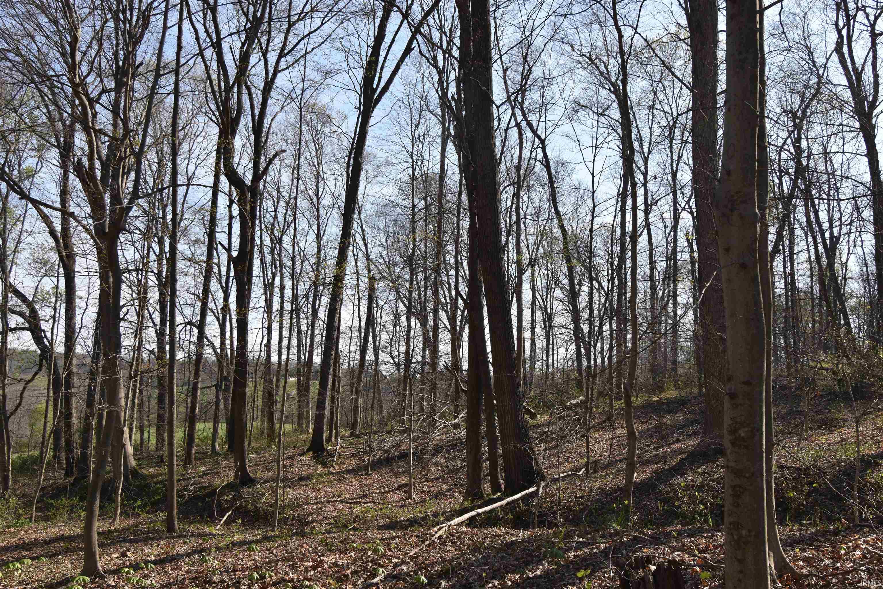 998 East Phillips Road English, IN 47118 - Photo 24 of 35