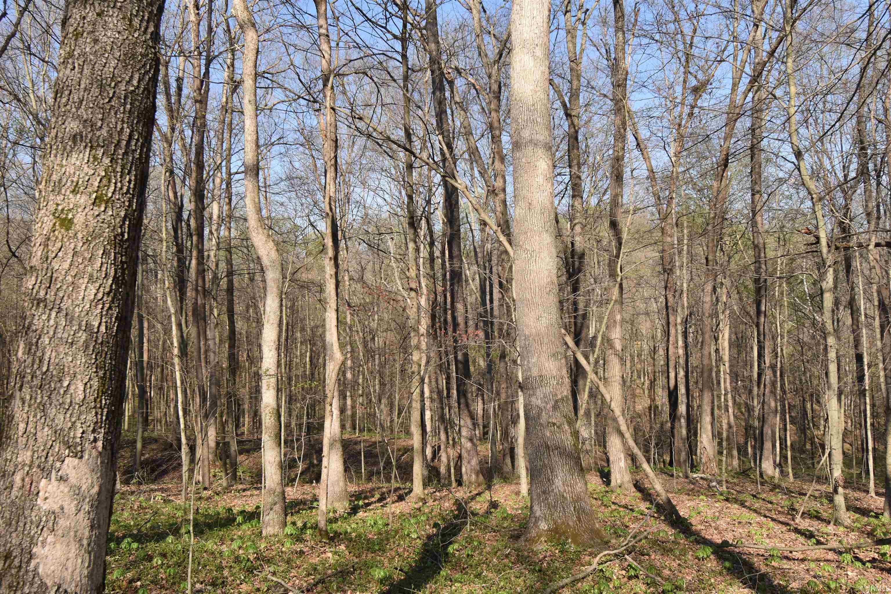 998 East Phillips Road English, IN 47118 - Photo 25 of 35