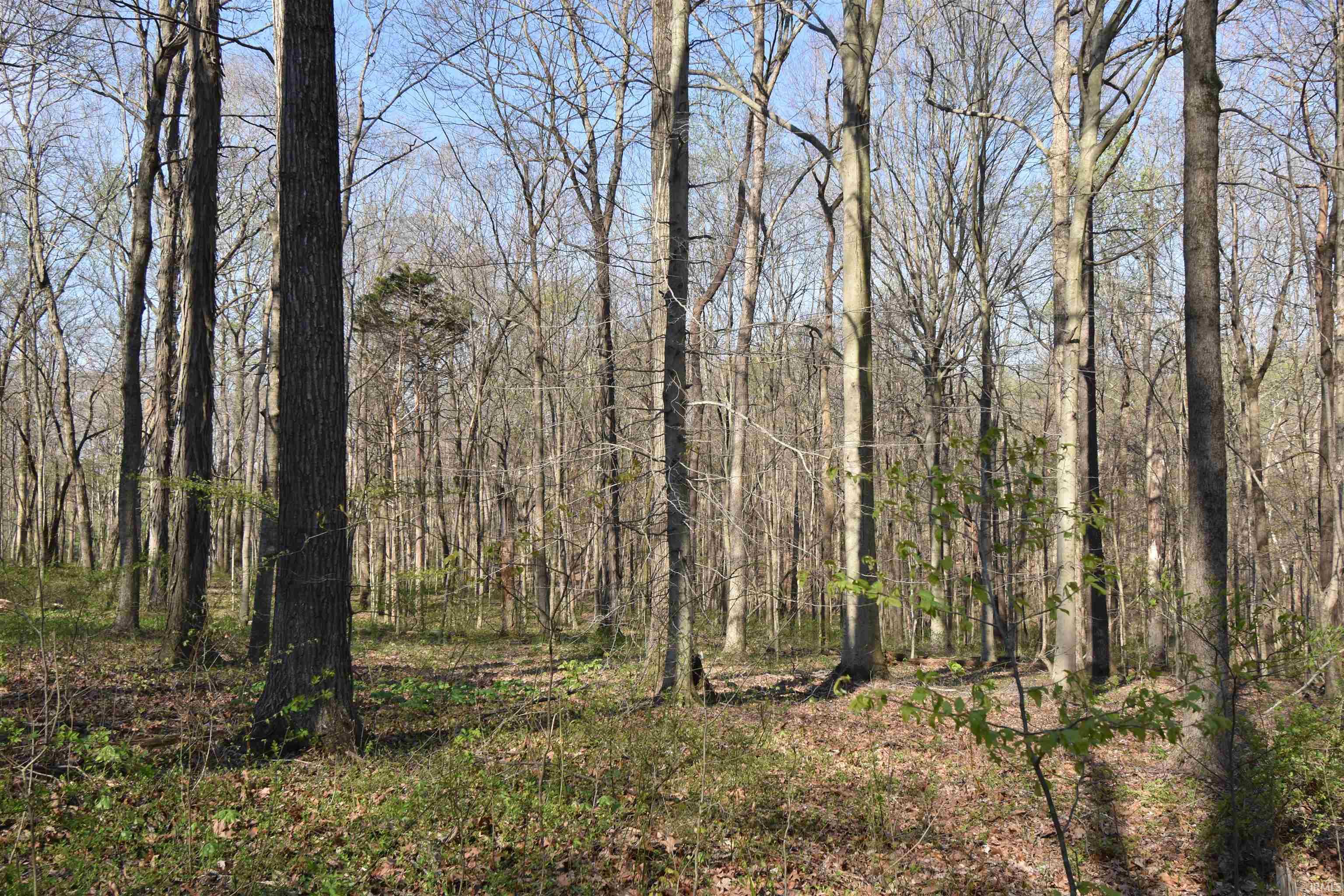 998 East Phillips Road English, IN 47118 - Photo 26 of 35