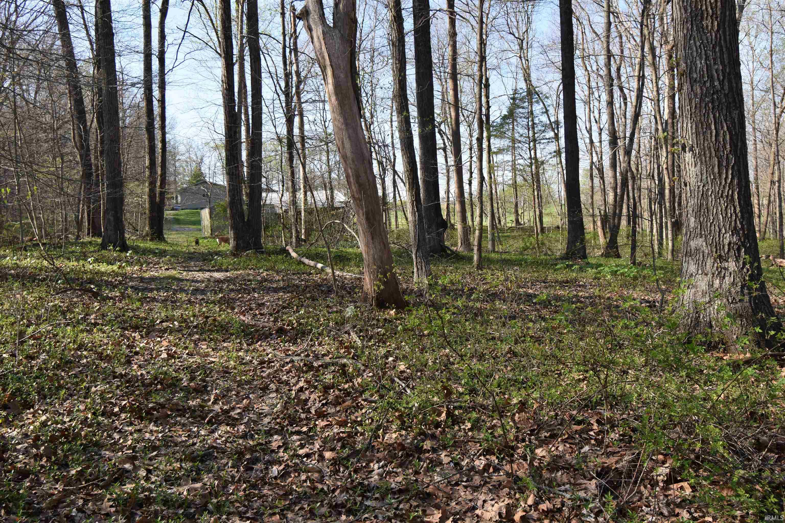 998 East Phillips Road English, IN 47118 - Photo 27 of 35