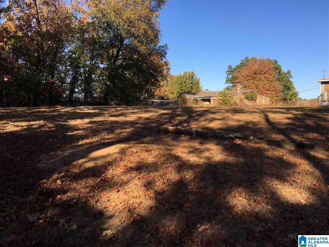 208 Crow Street Anniston, AL 36201 - Photo 38 of 50