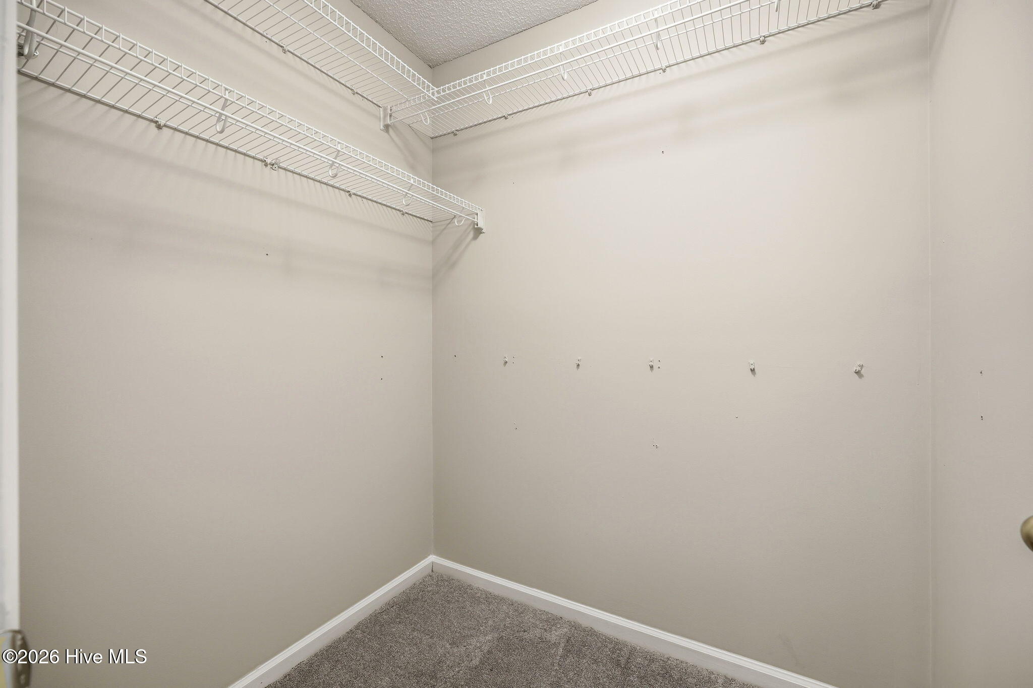 3172 Ruth Court Greenville, NC 27834 - Photo 36 of 51