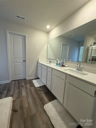 a bathroom with a sink mirror and vanity