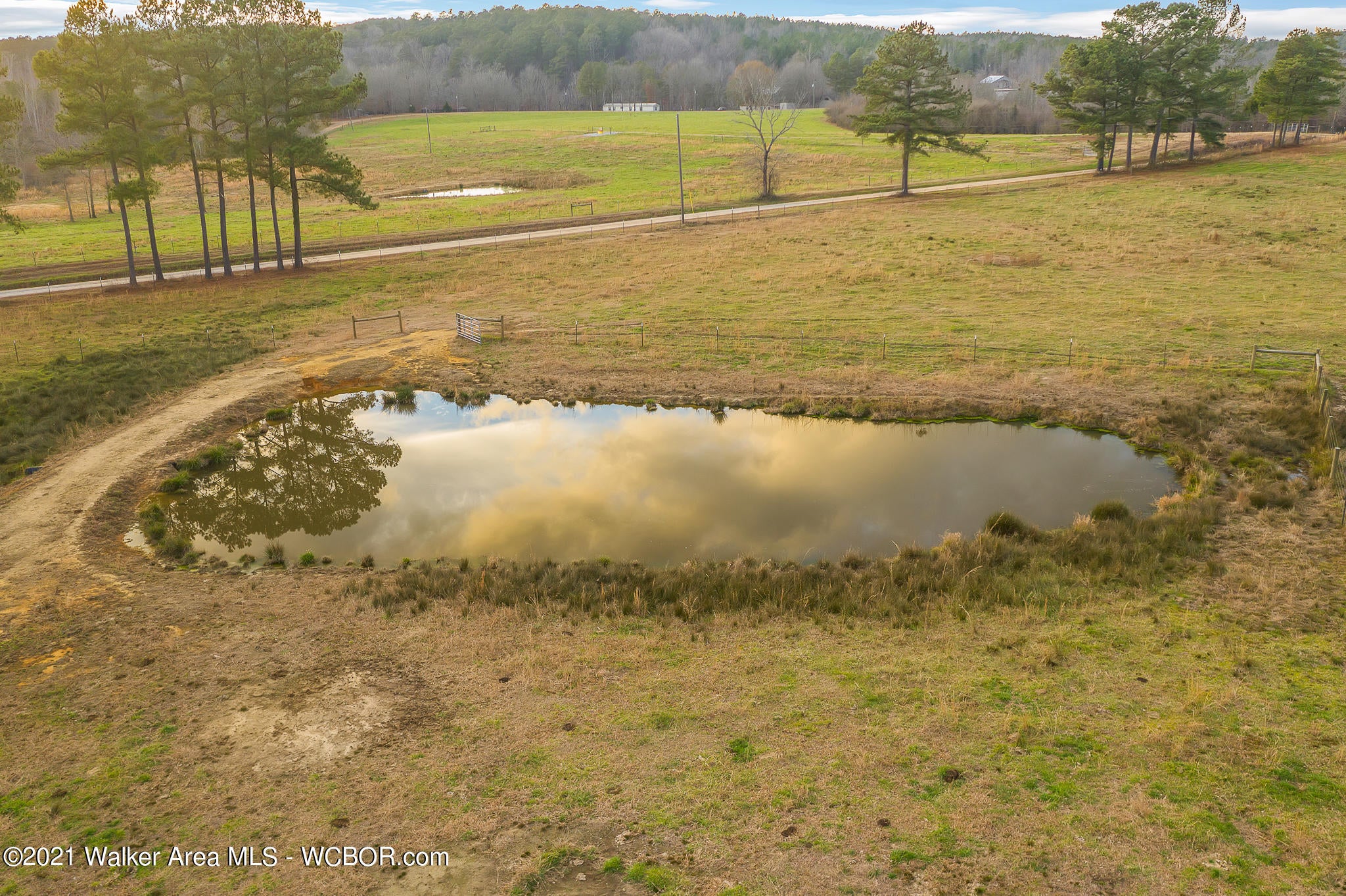 113 County Road Double Springs, AL 35553 - Photo 36 of 37 Gallery Image 36