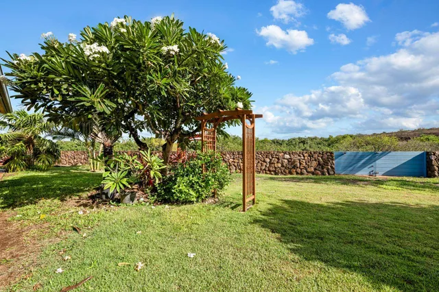a view of a yard with an tree