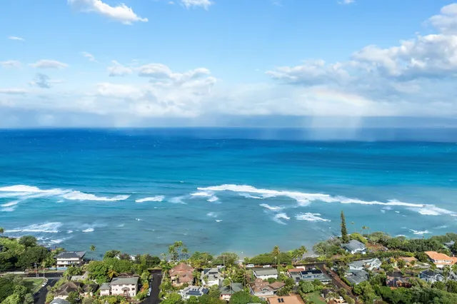 a view of a of a yard