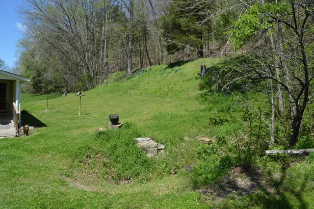 a view of a grassy field with trees in the background