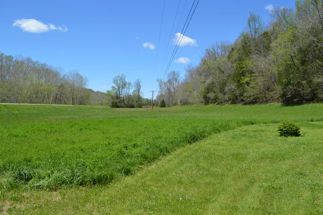 a view of yard with green space