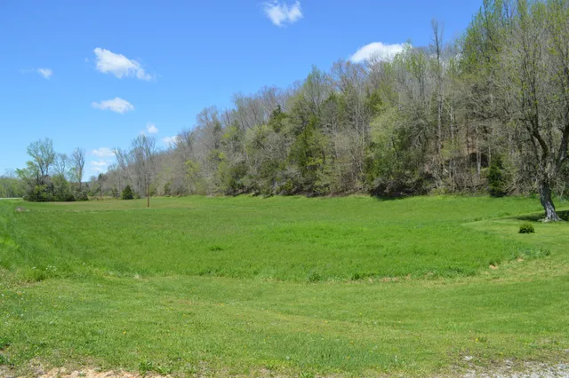 a view of a dry yard with trees